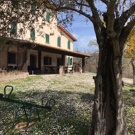 Bed and Breakfast Pian d'Isola Costacciaro Esterno foto